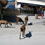 Entre Alpes Et Leman Alojamento de Acomodação e Pequeno-almoço *